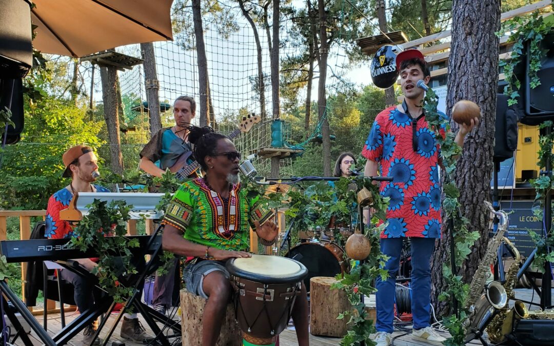 Sous les branches : Programmation concerts Aout 2023