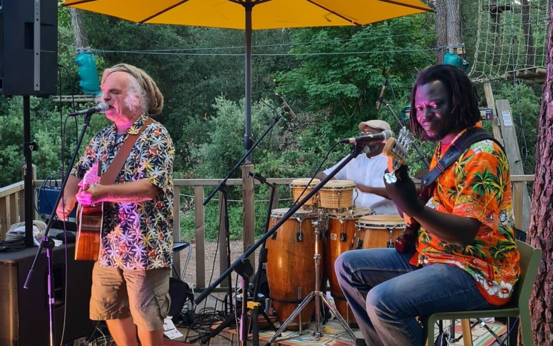 Sous les branches : Programmation concerts Juillet 2023