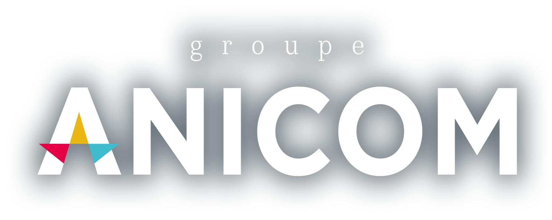 logo-groupe-anicom-blanc